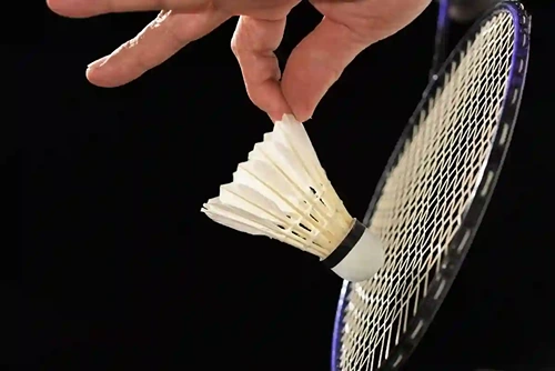 Badminton (40 min) activity image